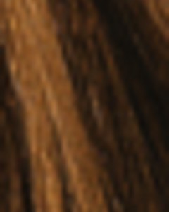 Sand Dollar Bronde