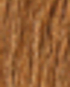 Shipwright